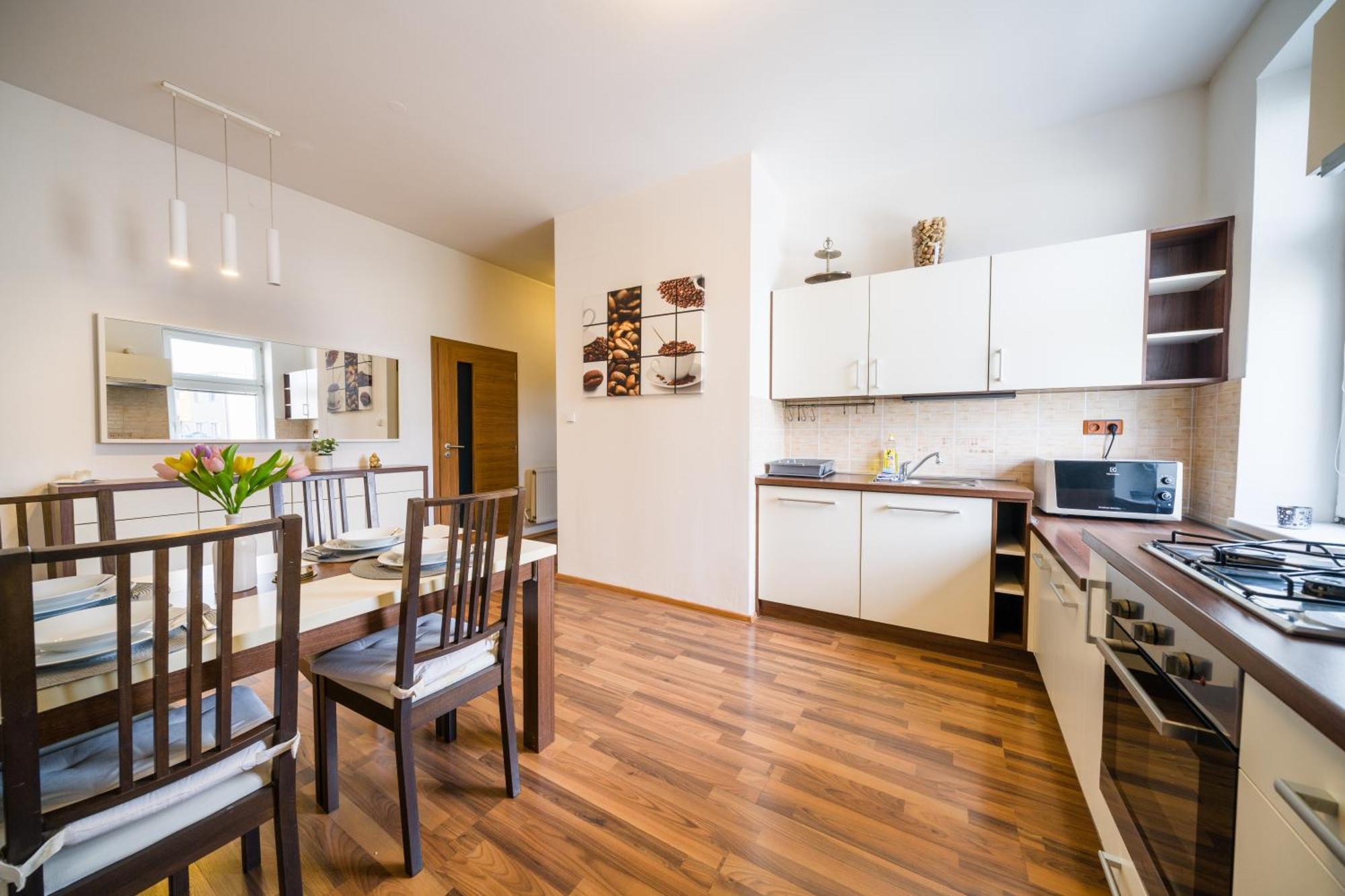 Apartia Vlhka, Brno-center Apartment Brno